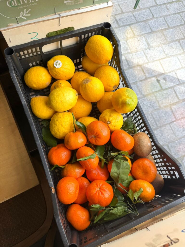 whatsapp image 2026 03 09 at 22.03.05 (1)